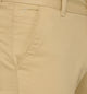 Studio Nexx Men Regular Fit Cotton Chinos Trousers